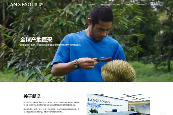 鮮通全球 品質致遠｜成都億速科技定制化打造朗浩集團品牌官網